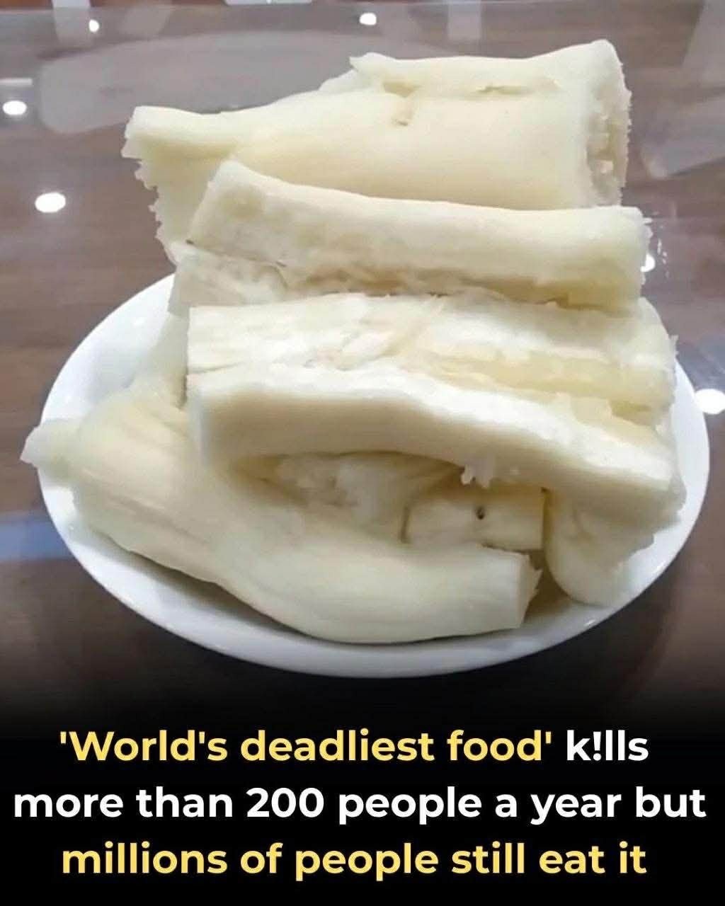 The World’s Deadliest Food? Why 500 Million People Still Safely Eat Cassava Every Day