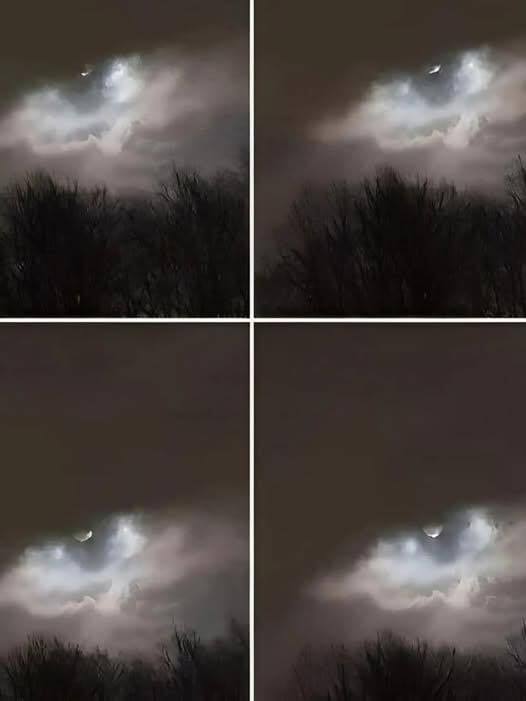 My Brother Took This Photo Only 21 km from Our House: Do You Have Any Idea What It Is?