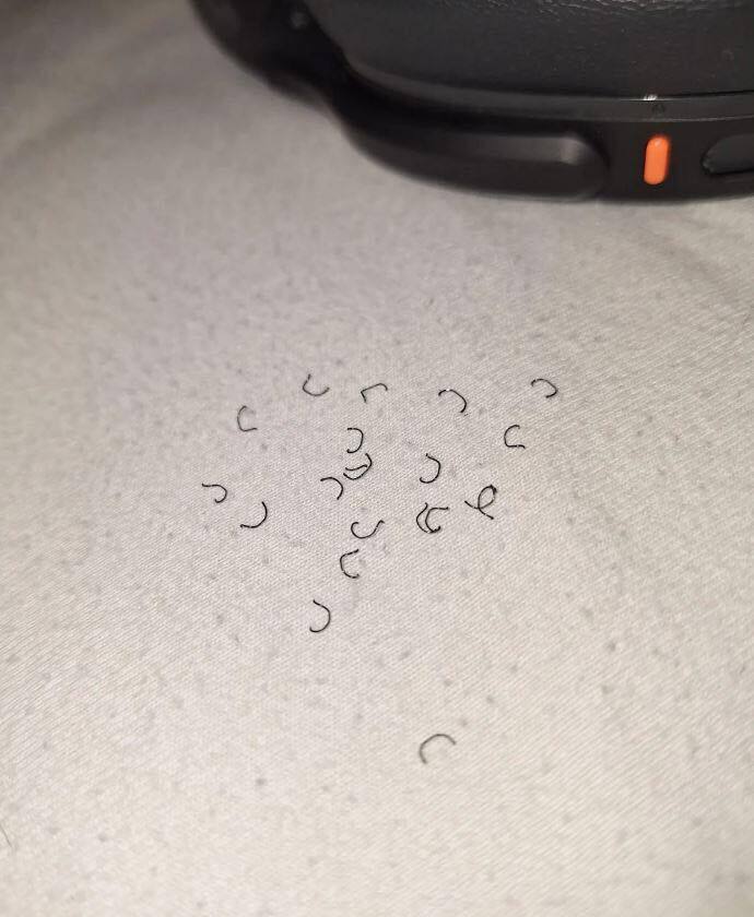 Woke Up To This On Your Bed? The Truth Will Shock You!