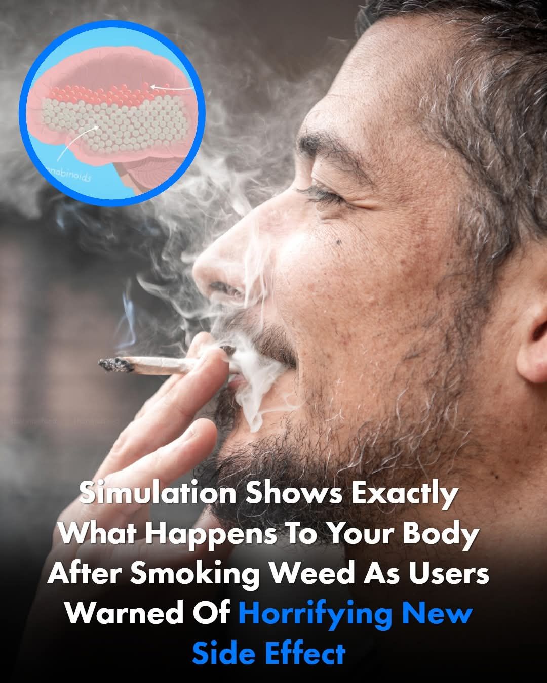 Simulation Reveals Eye-Opening Facts About Weed and Its Impact on the Body