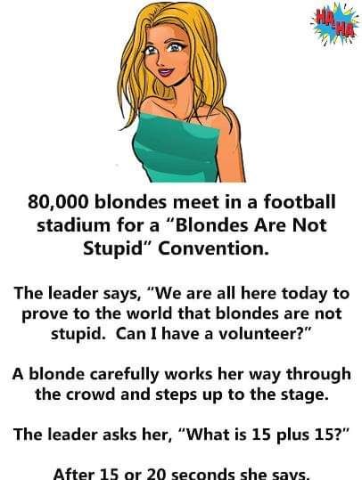 “Blondes Are Not Stupid” Convention: A Humorous Take