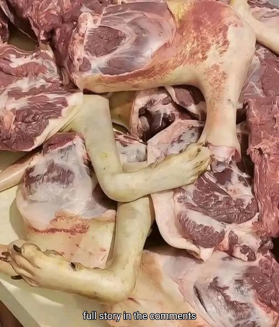 Viral “Man Arrested for Selling Meat” Headline Sparks Confusion - Daily Stories
