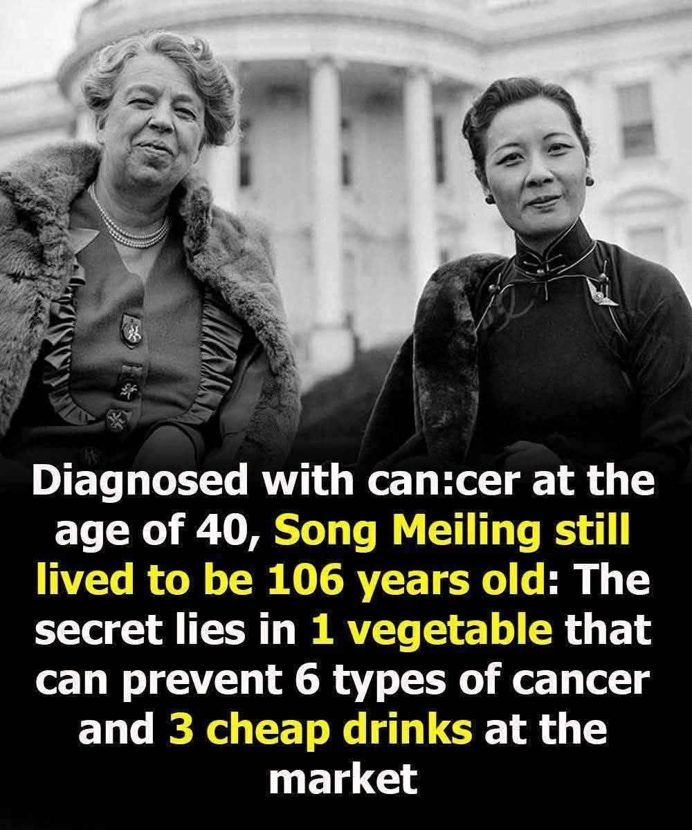 Diagnosed with Cancer at 40, How Did Soong Mei-ling Lived to 106?