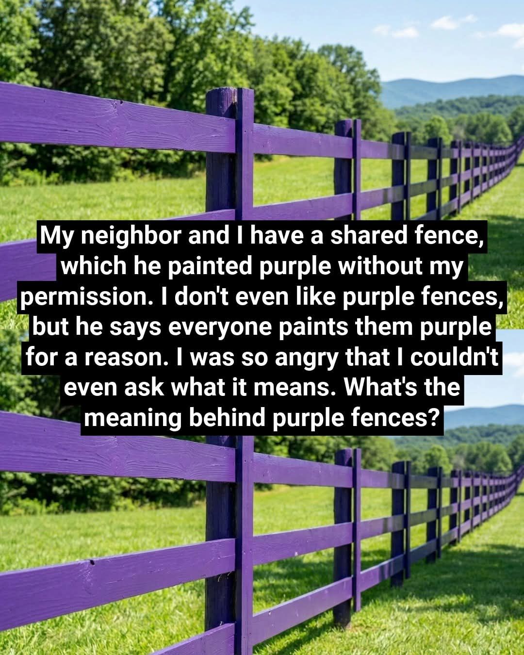 What a Painted Purple Fence Signifies