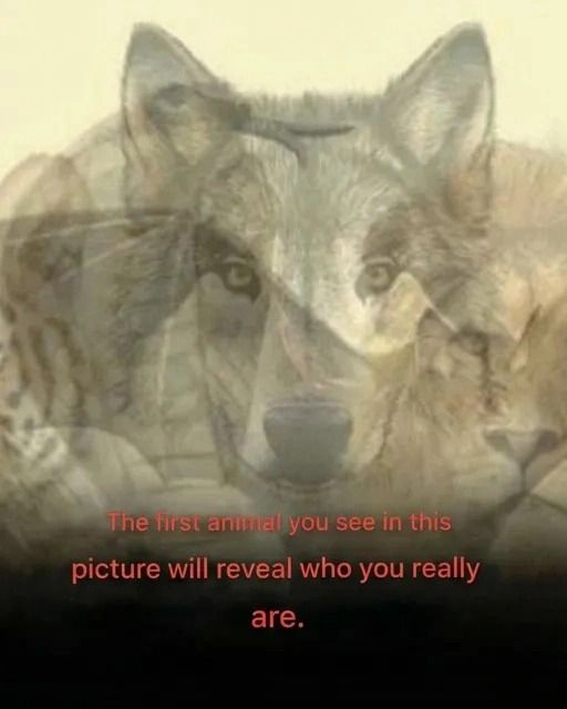 Personality Quiz: The First Animal You Notice May Say a Lot About You