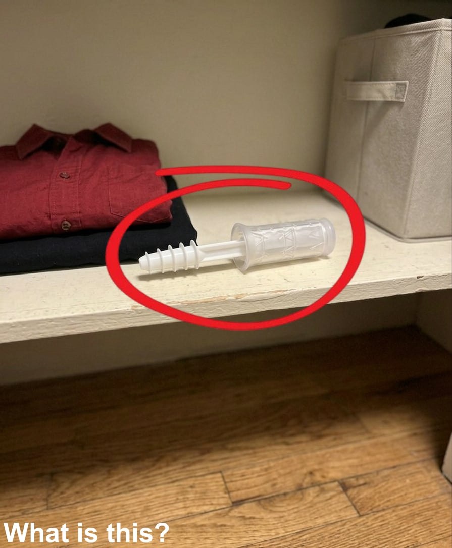 This evening, I opened my wife’s wardrobe and discovered this inside.