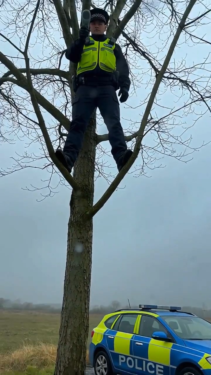 Drivers Thought It Was a Routine Speed Trap—Then They Spotted a Police Officer Standing 60 Feet Up a Tree