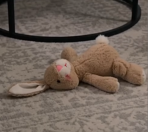 The Day I Came Home Early — And Found Police Standing Over My Five-Year-Old