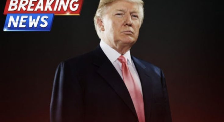 ABC Anchor Admits Truth As Trump’s DC Crackdown Yields Big Results