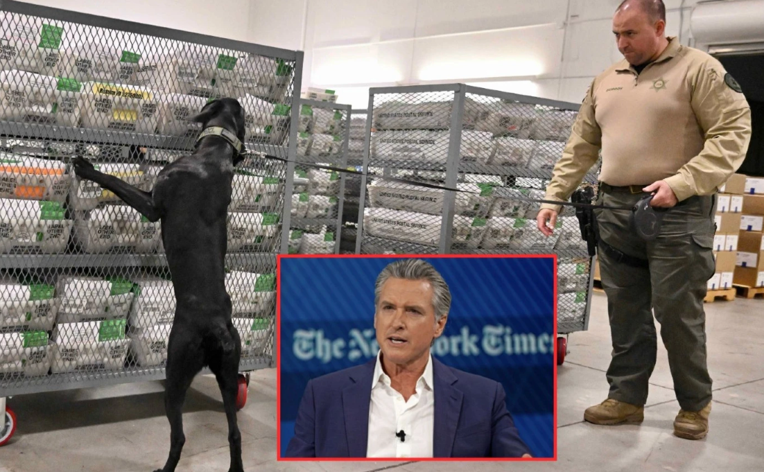 A Flood of Ballots': California Elections Turned Upside Down After Disturbing Video Leaks