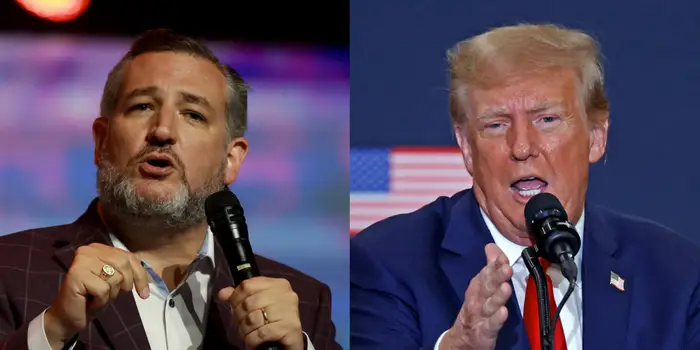 WATCH: Ted Cruz Shuts Down Dem Witness to His Face after He Tries Lying, Blaming Trump for Minnesota Fraud