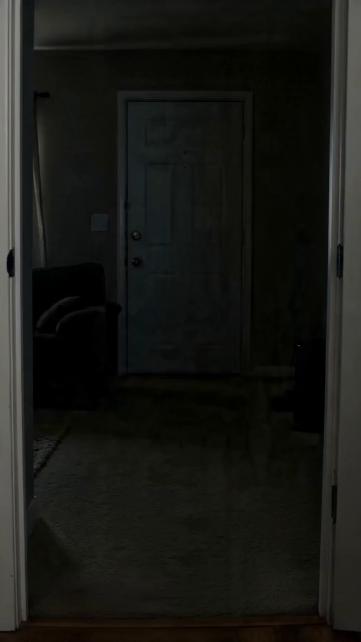 The Mother Who Came Home Early