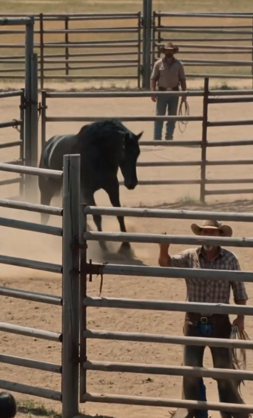The Nine-Year-Old Who Never Crossed the Rail