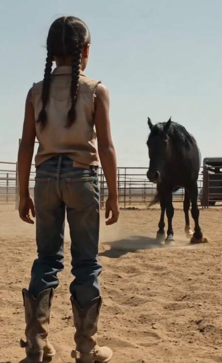 One Million Dollars for the Black Mare