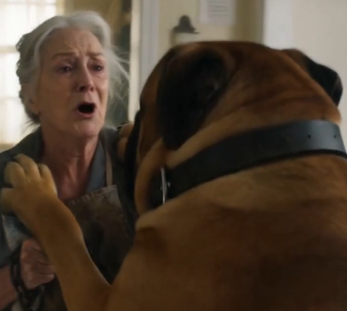 Gentle Mastiff Saves Elderly Owner’s Life After Unsettling Attack Turns Out to Be a Frantic Warning About Early-Stage Cancer