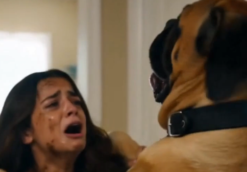 Gentle Mastiff Saves Elderly Owner’s Life After Unsettling Attack Turns Out to Be a Frantic Warning About Early