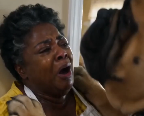 Gentle Mastiff Saves Elderly Owner’s Life After Unsettling Attack Turns Out to Be a Frantic Warning About Early-Stage Cancer - Beaware
