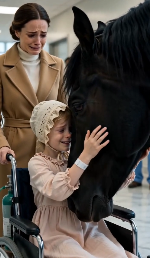 Unbelievable Moment Terrified Horse Storms into Hospital Lobby Before Being Instantly Subdued by a Single Voice