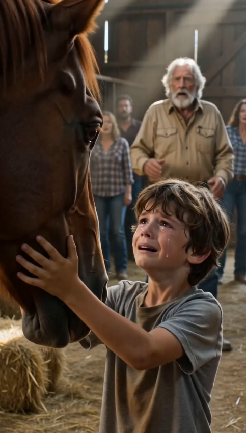 A Fearless Boy Calms a Rampaging Giant Horse with a Hidden Secret Melody That Leaves an Entire Stable Speechless - Beaware
