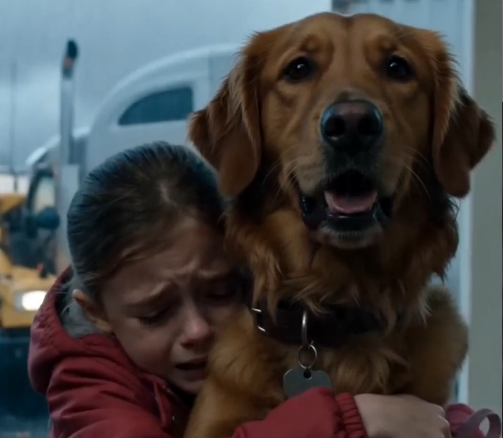 A Loyal Dog Saves a Young Girl From a Fatal Bus Crash Through an Instinctive Act of Defiance - Beaware