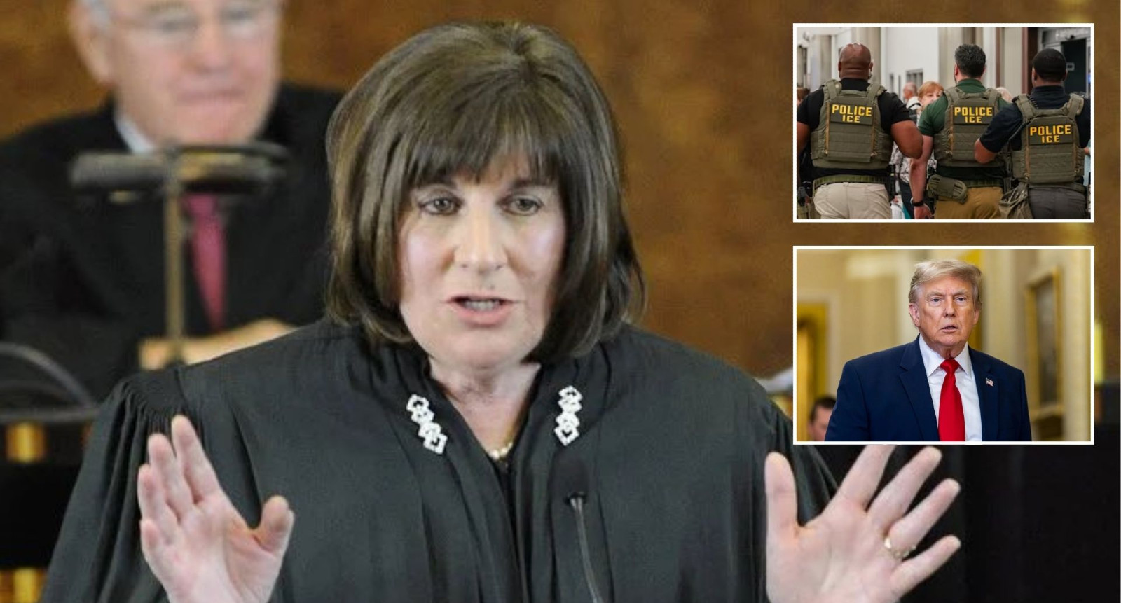 OBAMA JUDGE RULES ON ICE OPERATIONS — THIS CHANGES EVERYTHING