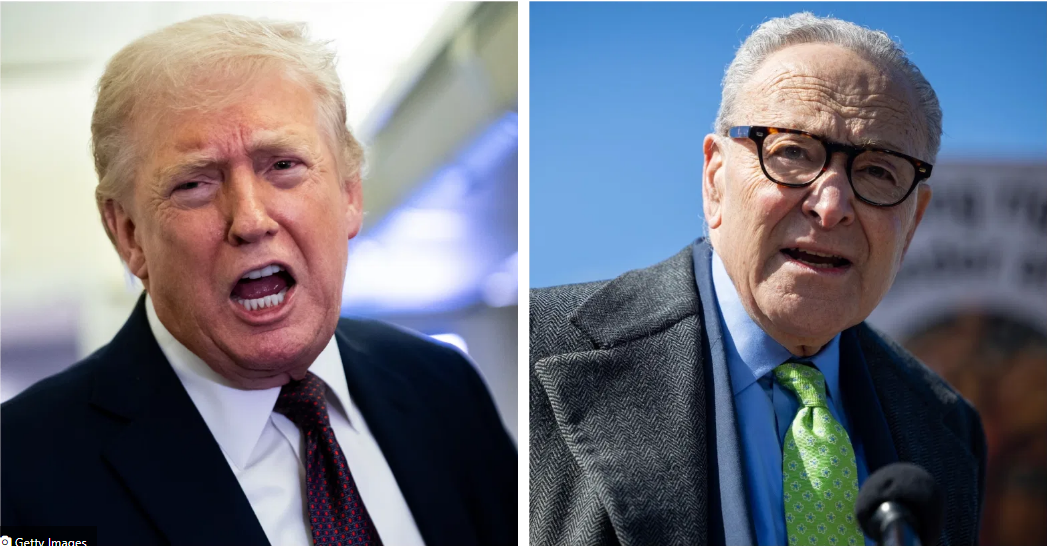 Trump Says ICE Could Be Deployed To Airports Amid Dem Shutdown