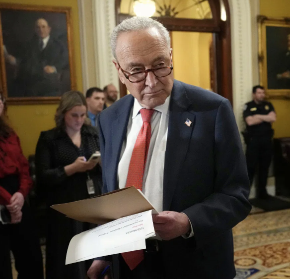 Schumer Wrongly Predicts ICE Airport Deployments Would Lead to ‘Trouble’