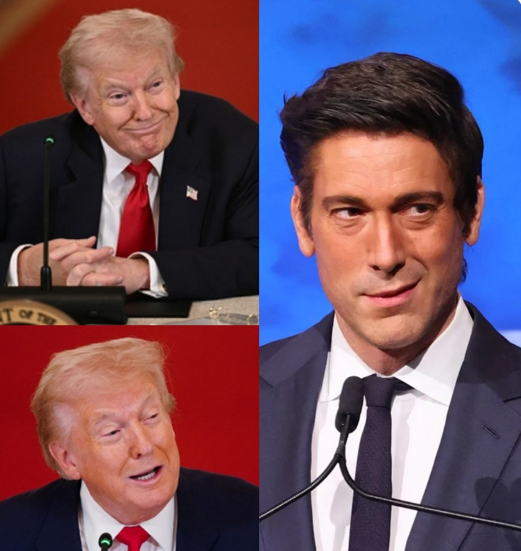 A Viral Confrontation Narrative Ignites Debate — When a Political Outburst Meets Broadcast Calm