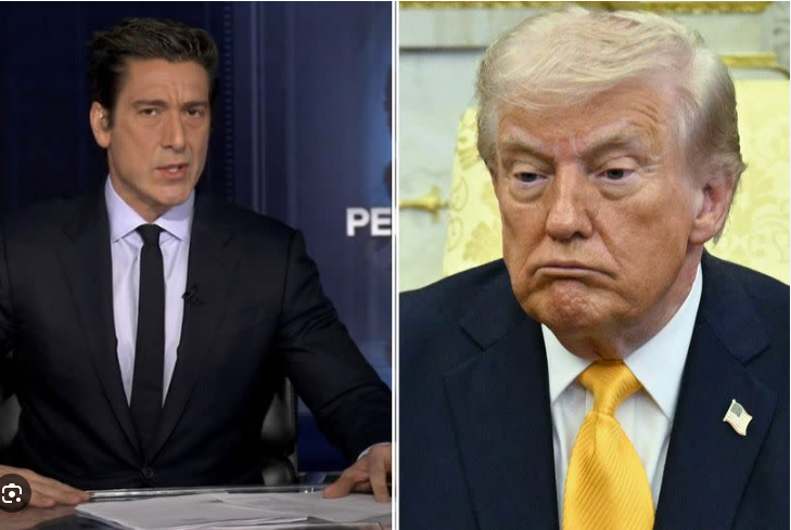 Omg Heart-stopping moment ABC’s David Muir drops TRUTH bomb on Trump—what he just revealed will leave you SHAKEN.