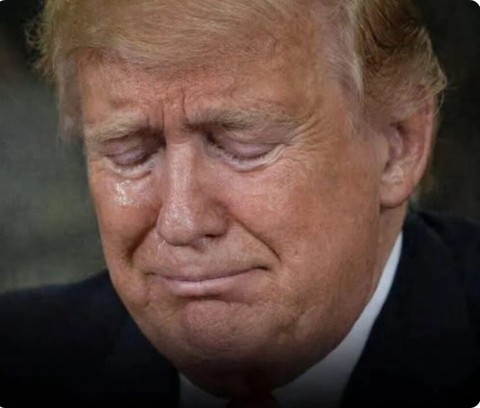 A Quiet, Reflective Pause from Donald Trump in Washington