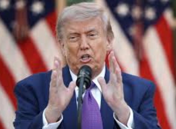 OMG A Reflective Moment From Donald Trump in Washington NEW-l1