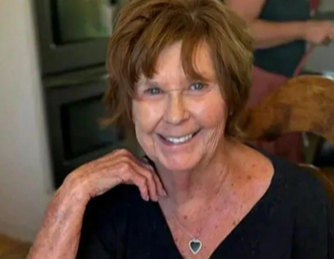 What Began as a Desperate Search for an Elderly Mother Ended With a Revelation Few Could Have Imagined