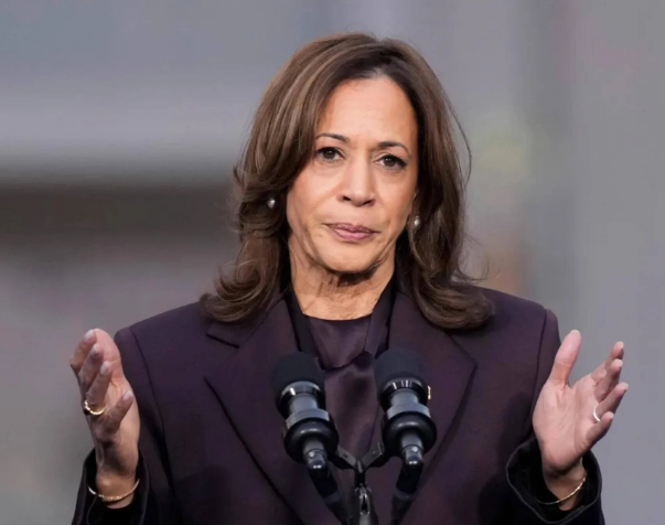 Carville Tells Kamala Harris That Dems Want Nothing To Do With Her In 2028