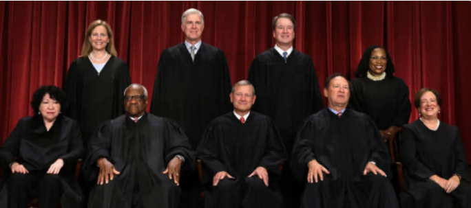 High Court Reviews Ban on Dual Citizens in Public Office