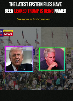 1 Uncovered Goldman Sachs File Sparks New Questions About Trump’s Epstein Connections