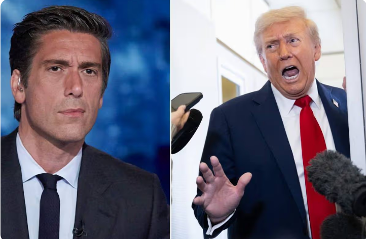 ok Heart-stopping moment ABC’s David Muir drops TRUTH bomb on Trump—what he just revealed will leave you SHAKEN.