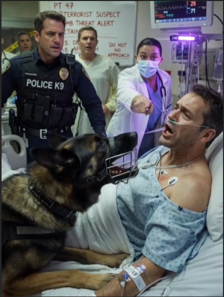 A K9 Unit Attacked Me In The ICU. Everyone Thought I Was A Terrorist. The Dog Knew I Was Dying.”