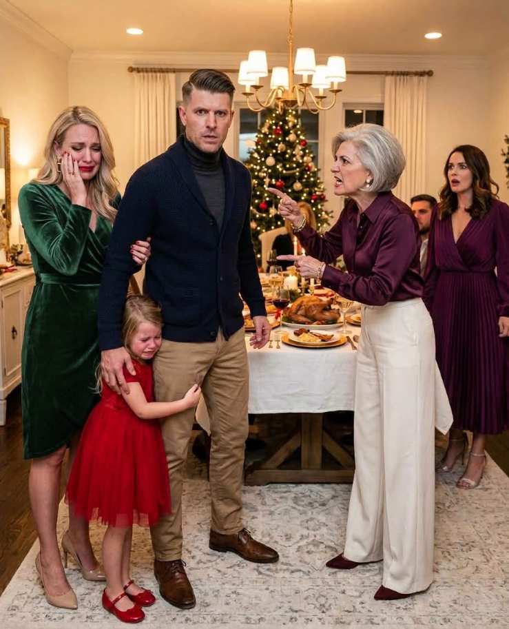 At Christmas dinner, my sister-in-law ins:ulted my wife until the argument exploded