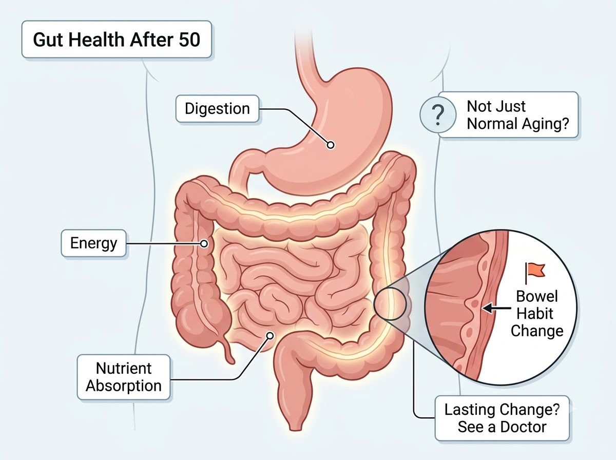 Gut Health After 50 Might Signal Hidden Risks