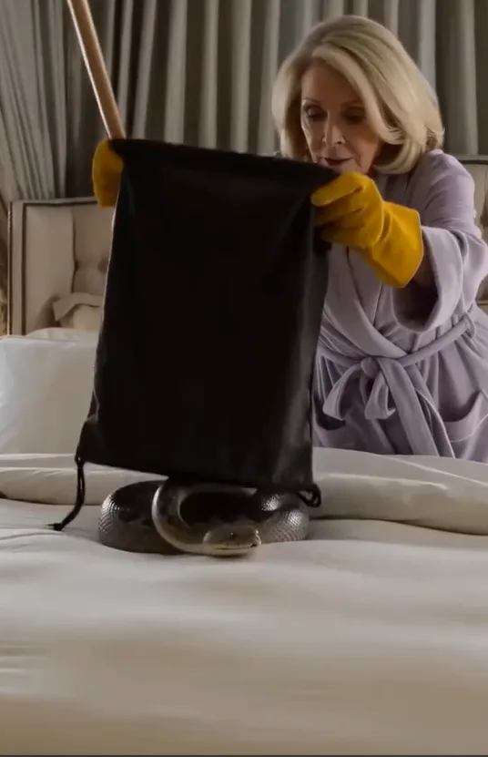 “When My Mother-in-Law Hid a Rattlesnake in My Bed, She Never Expected Me to Discover My Husband’s $25 Million Secret”