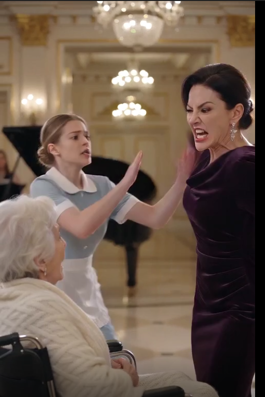 SHE TRIED TO SLAP AN OLD WOMAN IN A WHEELCHAIR—UNTIL THE MAN BEHIND HER SAID, “THAT’S MY MOTHER.”