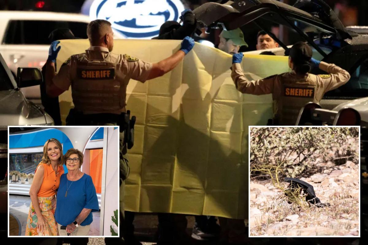 Behind the Desert Wash: New Clues Emerge in the Disappearance That Has Gripped Tucson and Left Investigators Searching for Answers