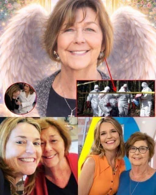 The Nancy Guthrie Mystery: Months Later, Investigators Are Still Searching for Answers as Rumors Continue to Cloud the Truth