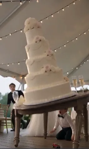 A little boy accidentally knocked over the wedding cake—and exposed something nobody was ever supposed to find.