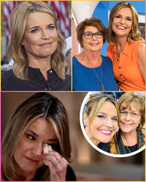 “The Search Is Over”: Savannah Guthrie’s Heartbreaking On-Air Breakdown as Police Deliver Devastating News - GLB 247