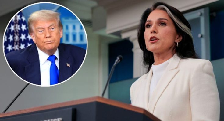 Gabbard Makes Criminal Referrals Linked To First Trump Impeachment - the phdailynews.org