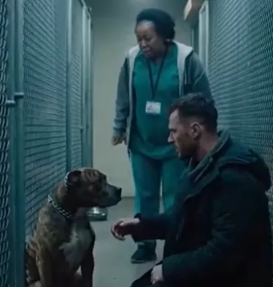 💔They were going to put this dog down… until the man who had been looking for him for 2 years appeared