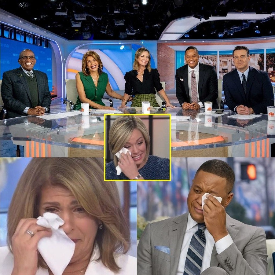 Former Anchor’s Violent On-Air Meltdown Forces Network to Cut Feed and Seal Studio!