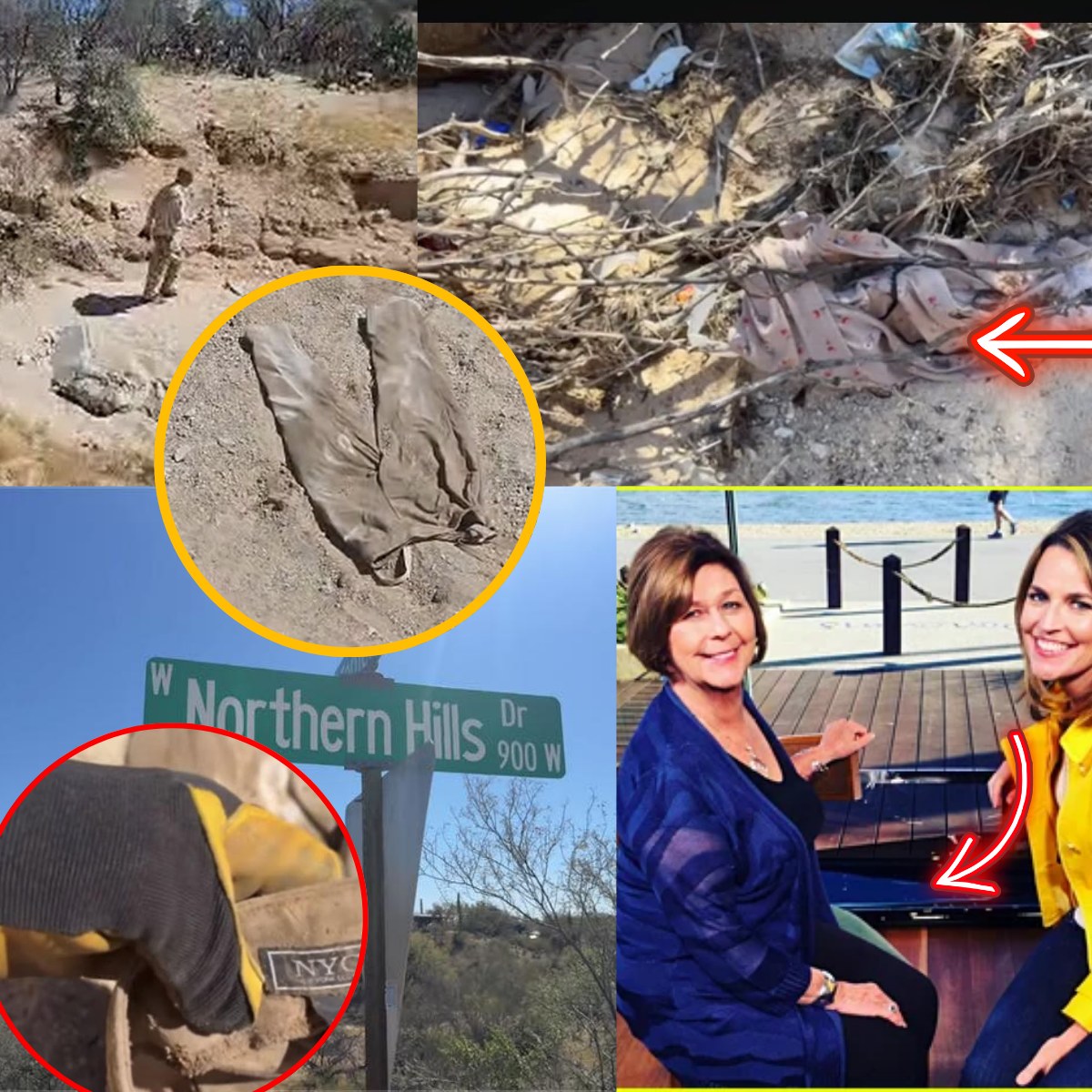 FBI Breaks Down Key Clues in Missing Savannah Guthrie’s Mom Case: Blood Evidence Reveals Chilling Details