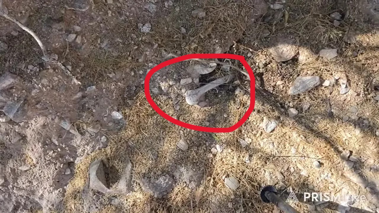 HISTORIC DISCOVERY Update on bone found near Nancy Guthrie home as new warning issued over interference in her disappearance